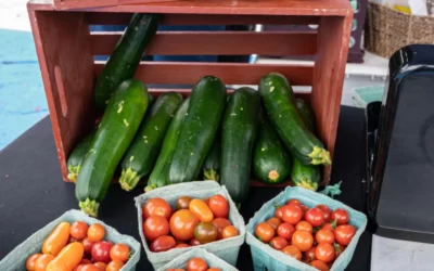 Loream ipsum sit amet